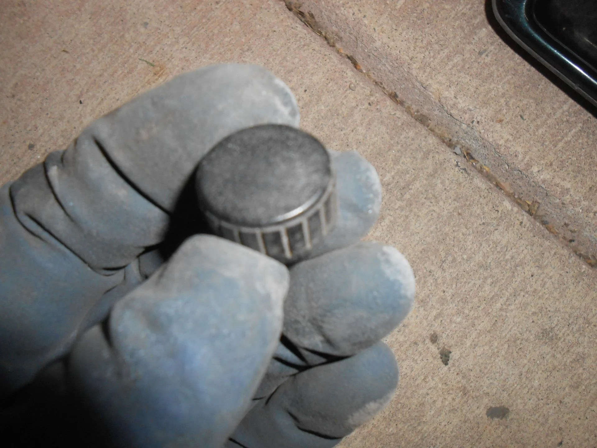 DSCN2590.webp