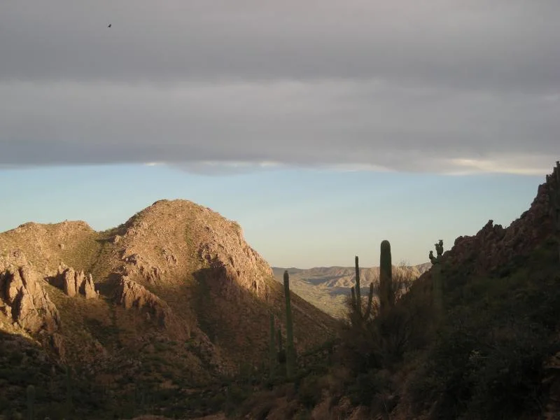 DSCN2651.webp