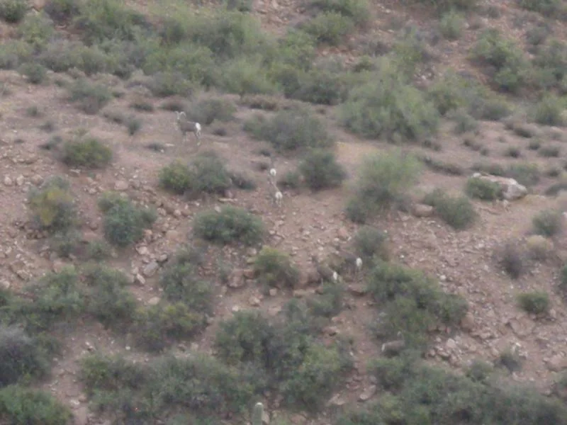 DSCN2655.webp