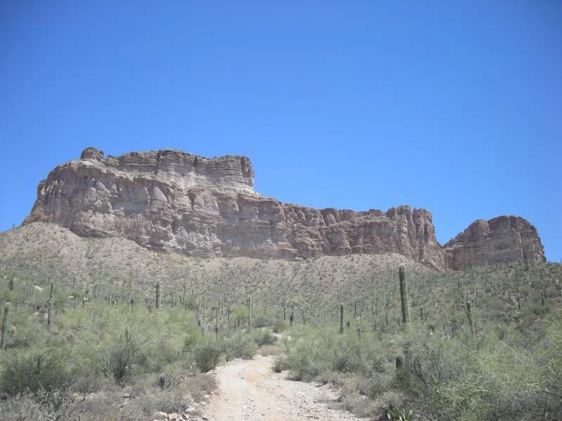 DSCN2665.webp