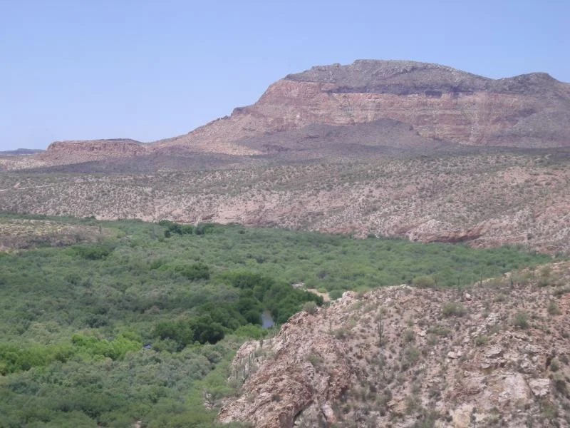 DSCN2729.webp