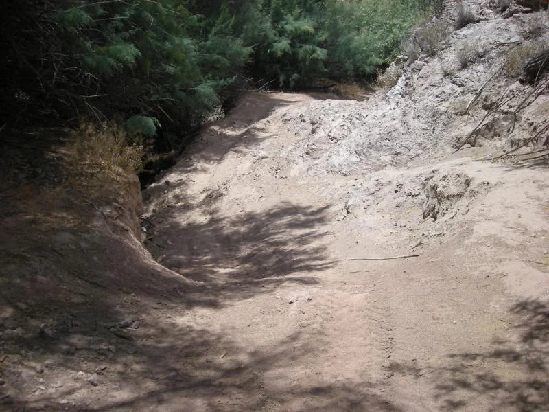DSCN2734.webp