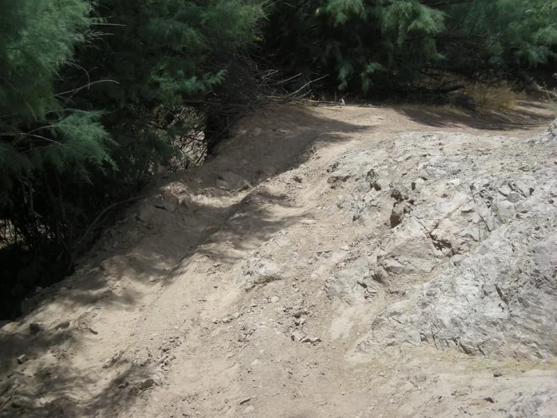 DSCN2735.webp