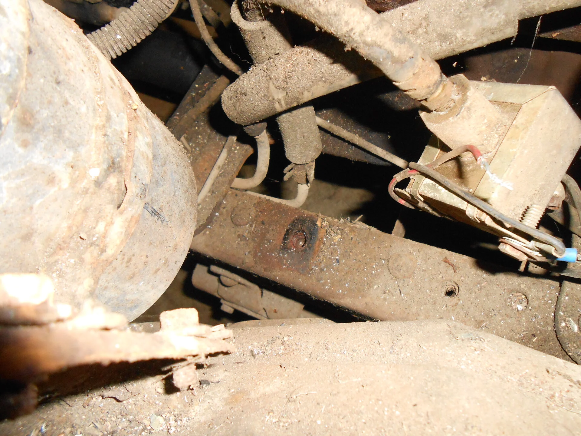 DSCN2760.webp