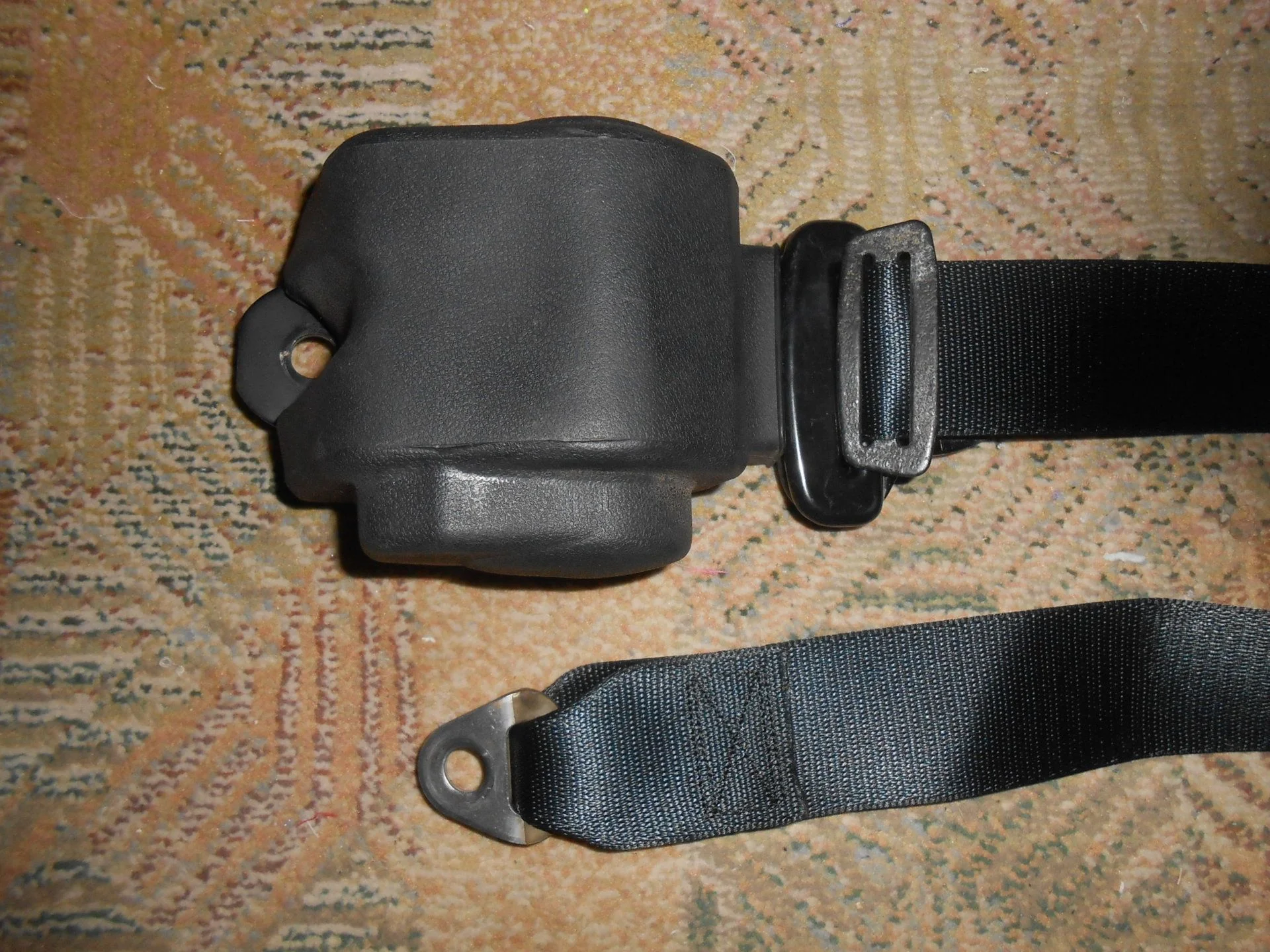 DSCN2775.webp