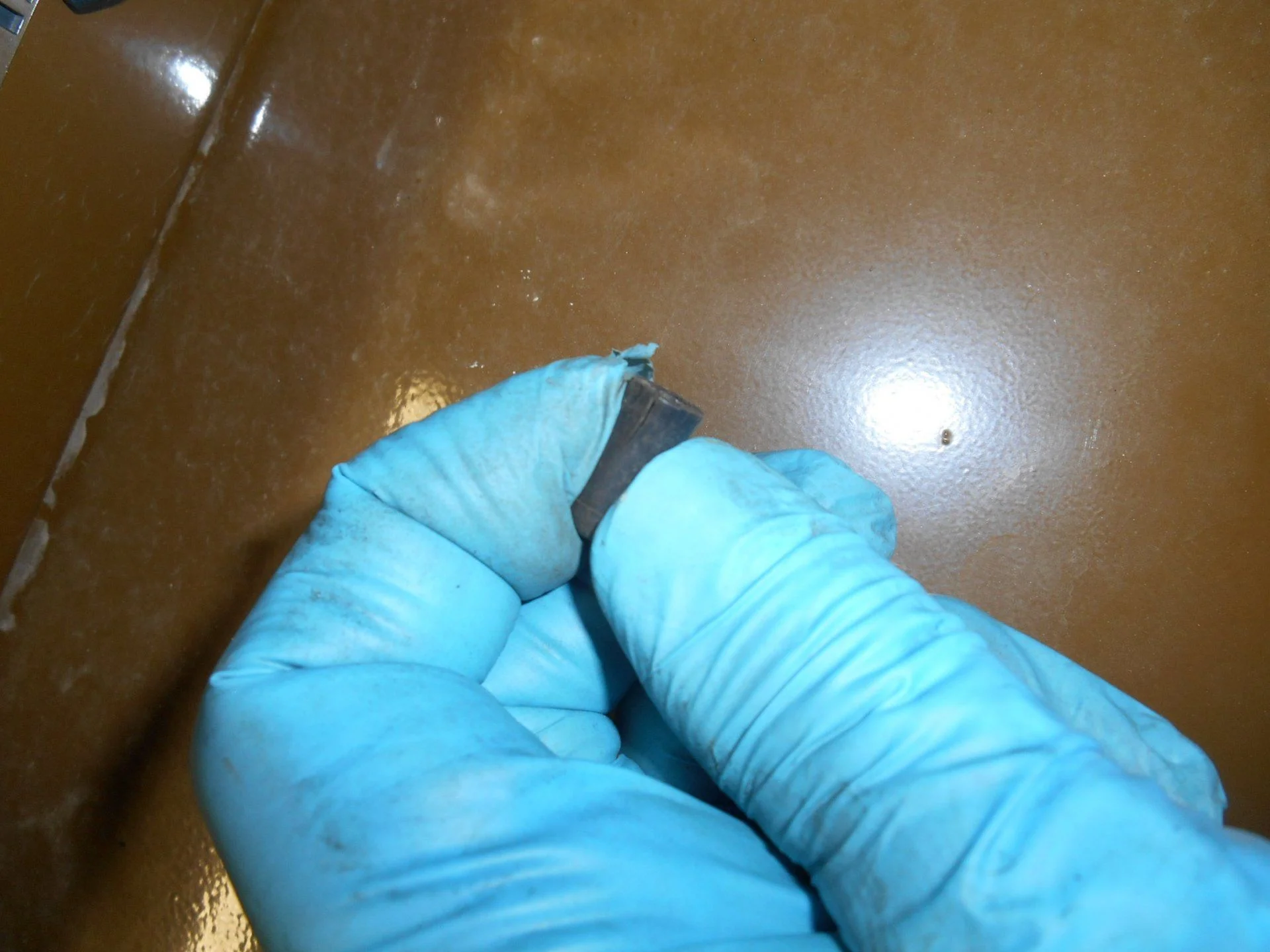 DSCN3008.webp