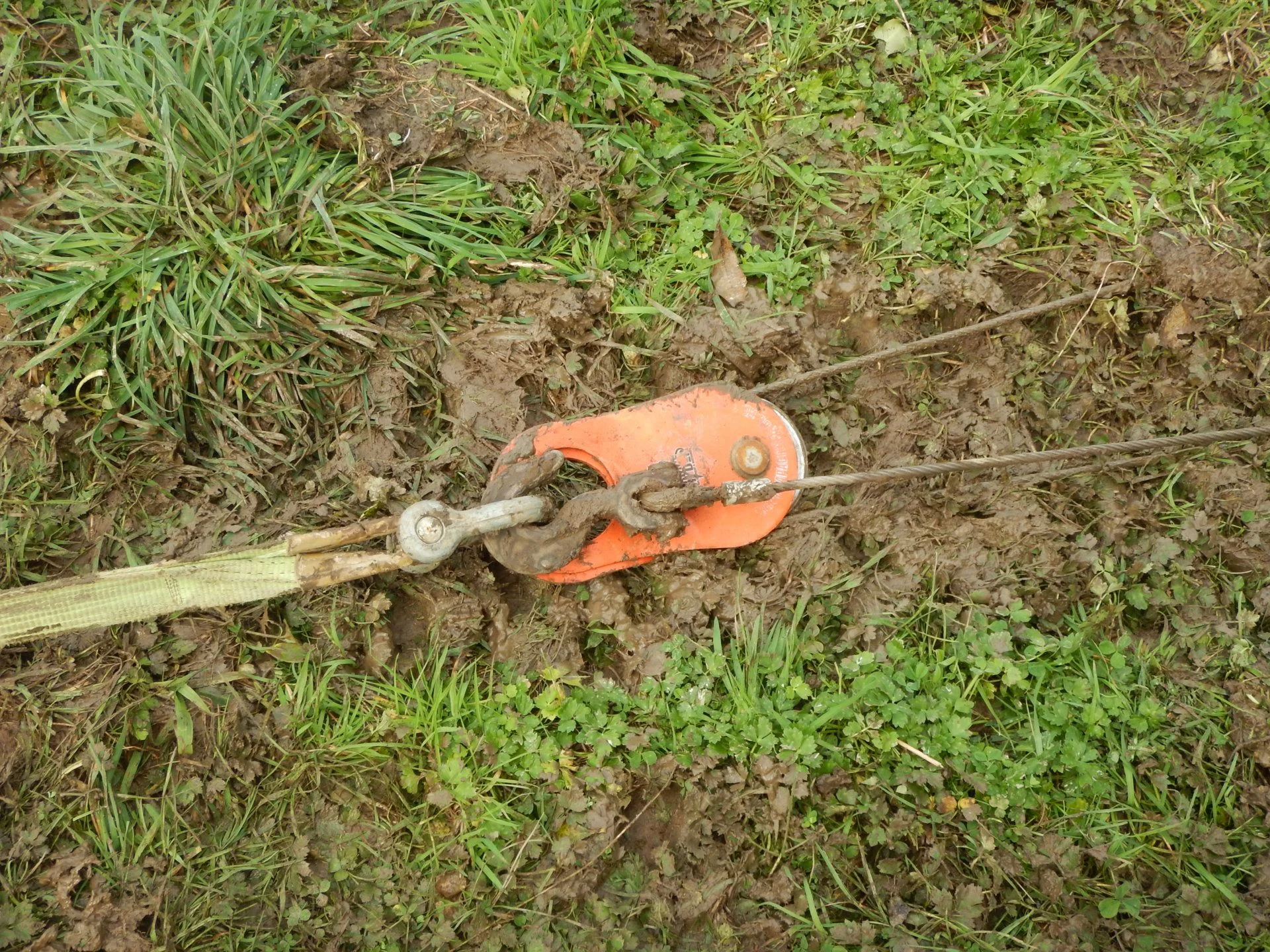 DSCN3033.webp