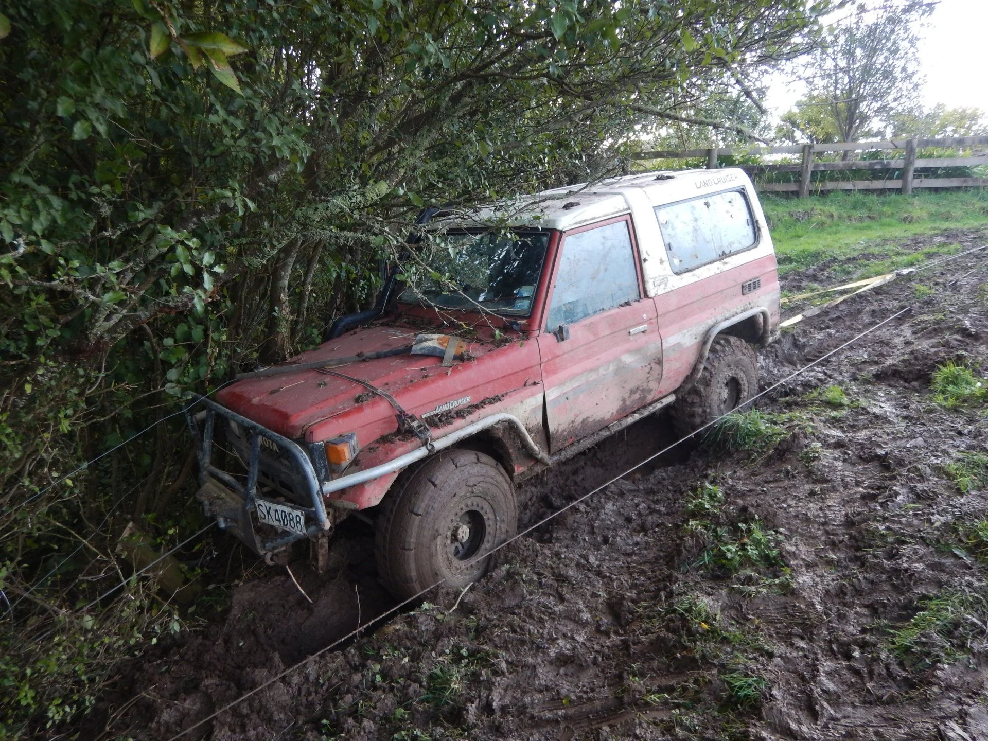 DSCN3036.webp