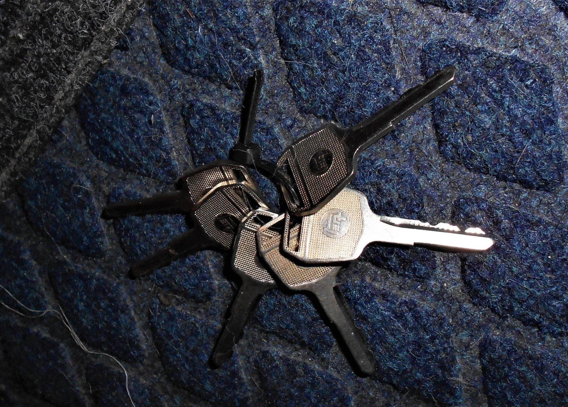 DSCN3208.webp