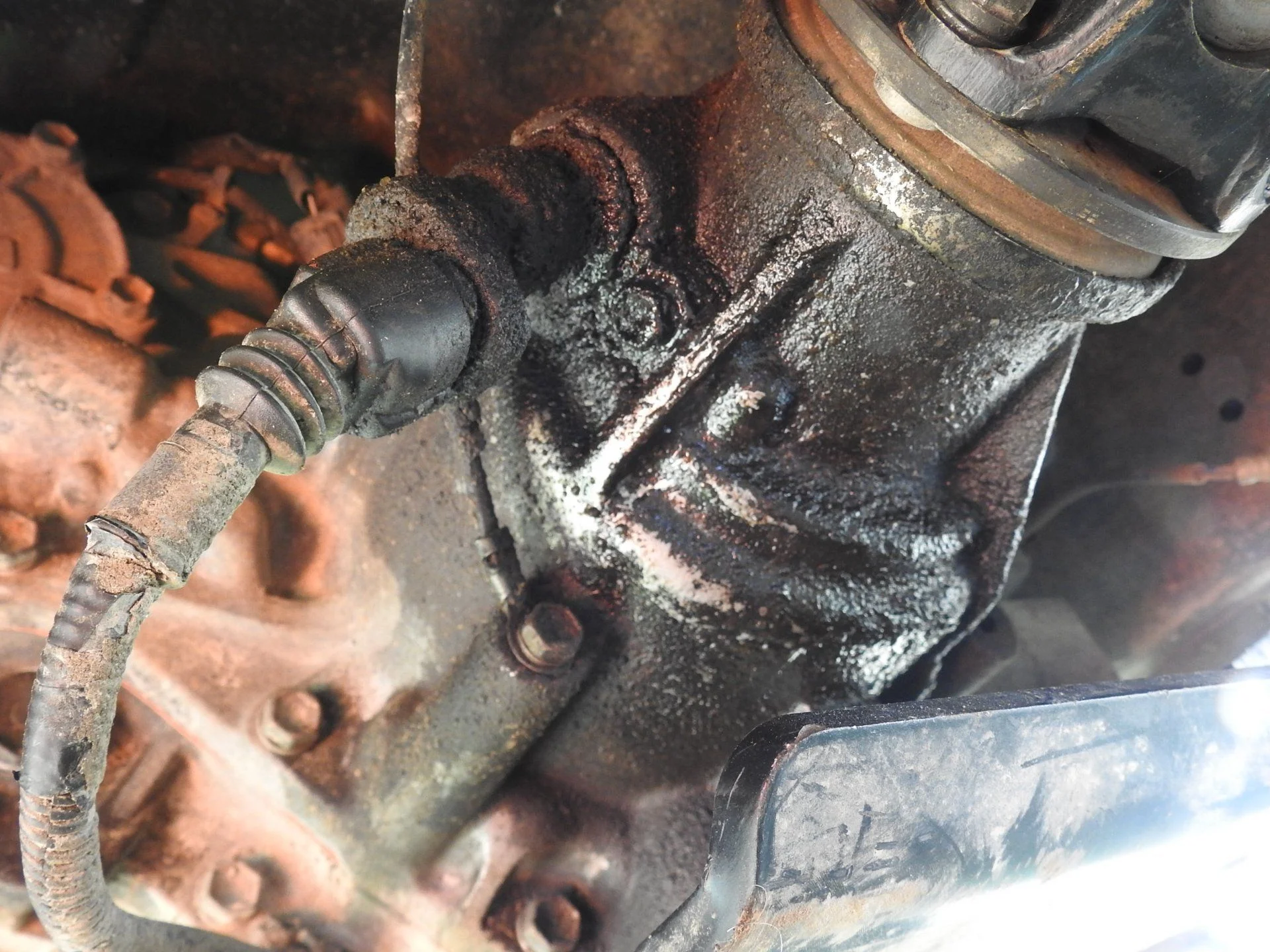 DSCN3255.webp