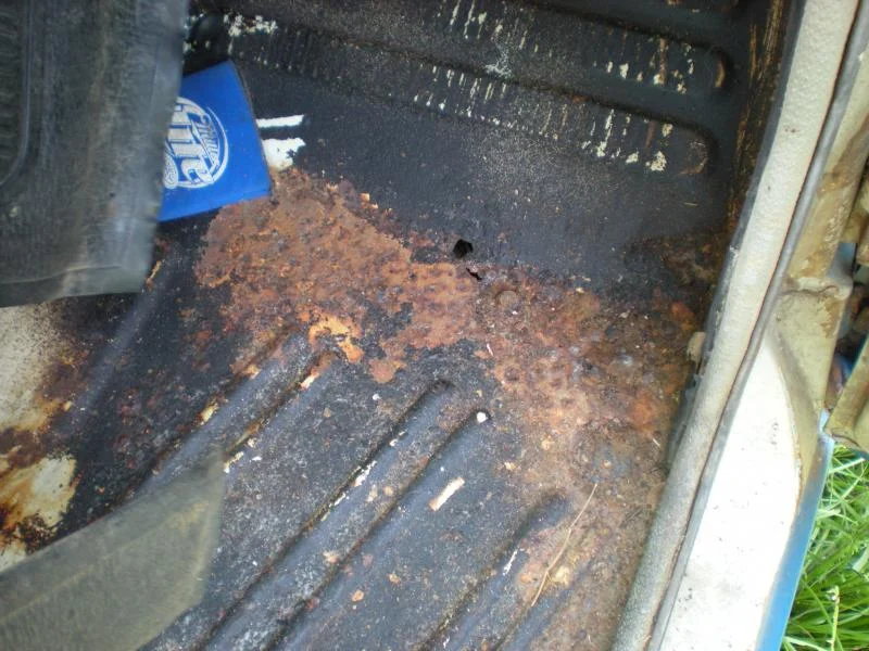DSCN3282.webp