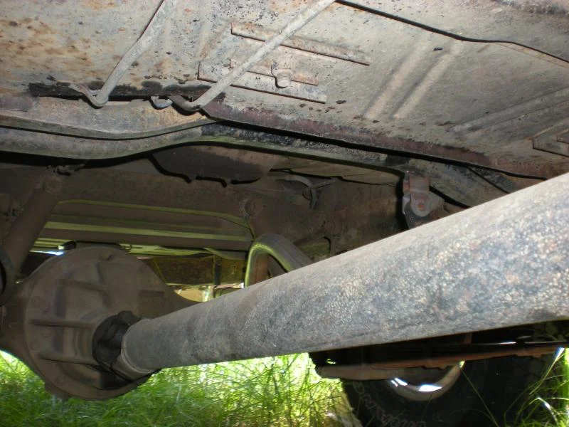 DSCN3285.webp