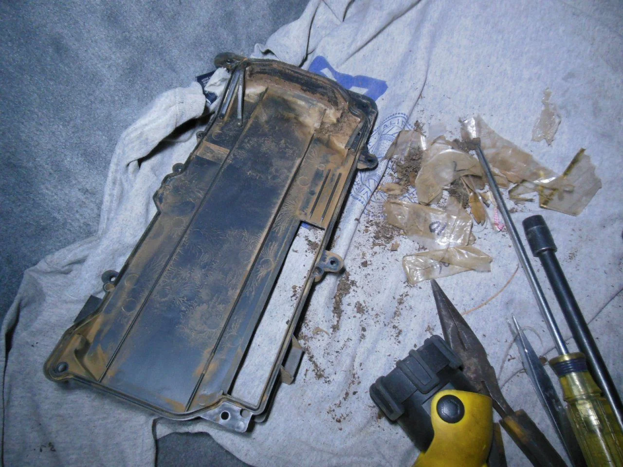 DSCN3375.webp