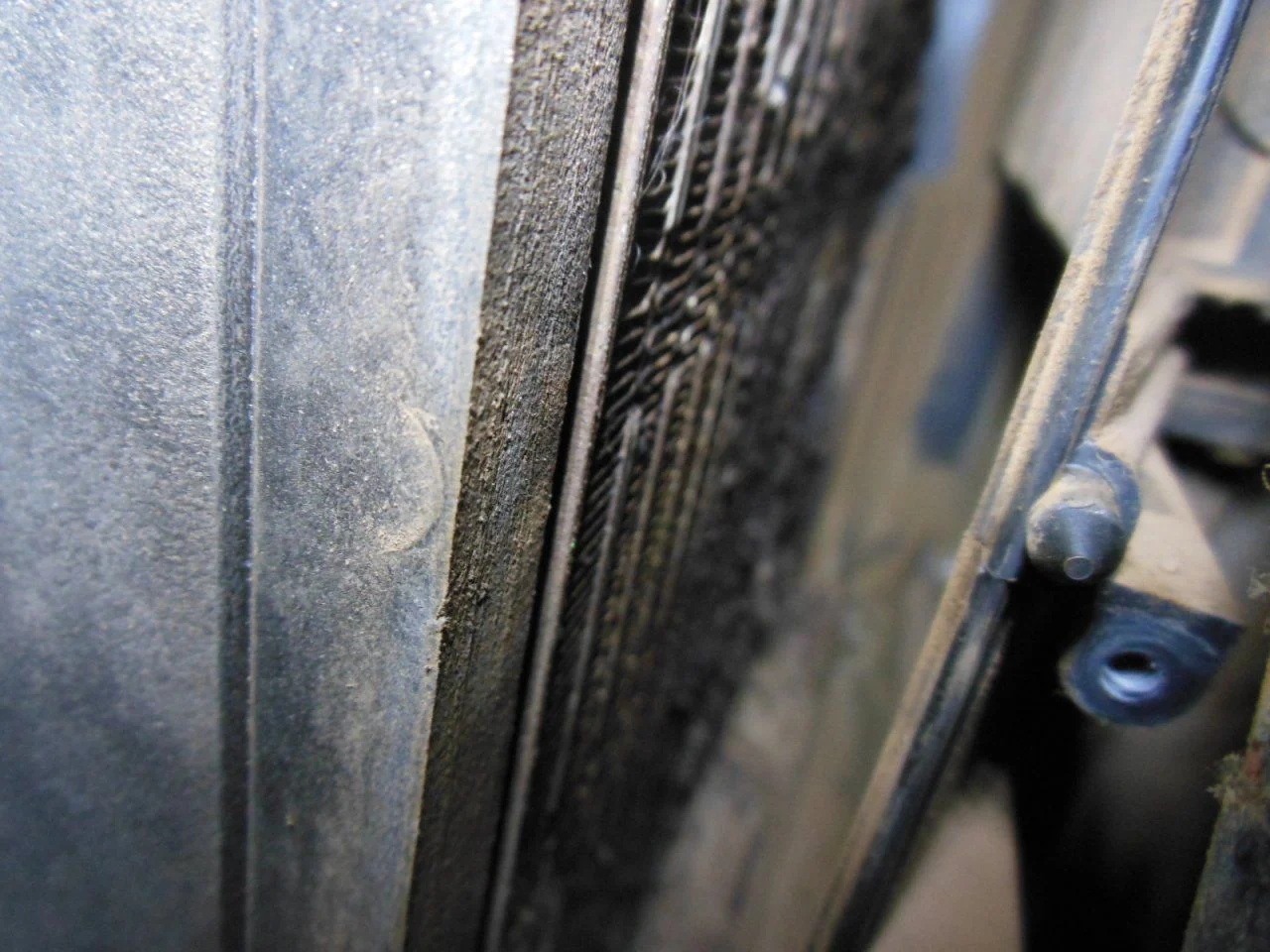 DSCN3376.webp