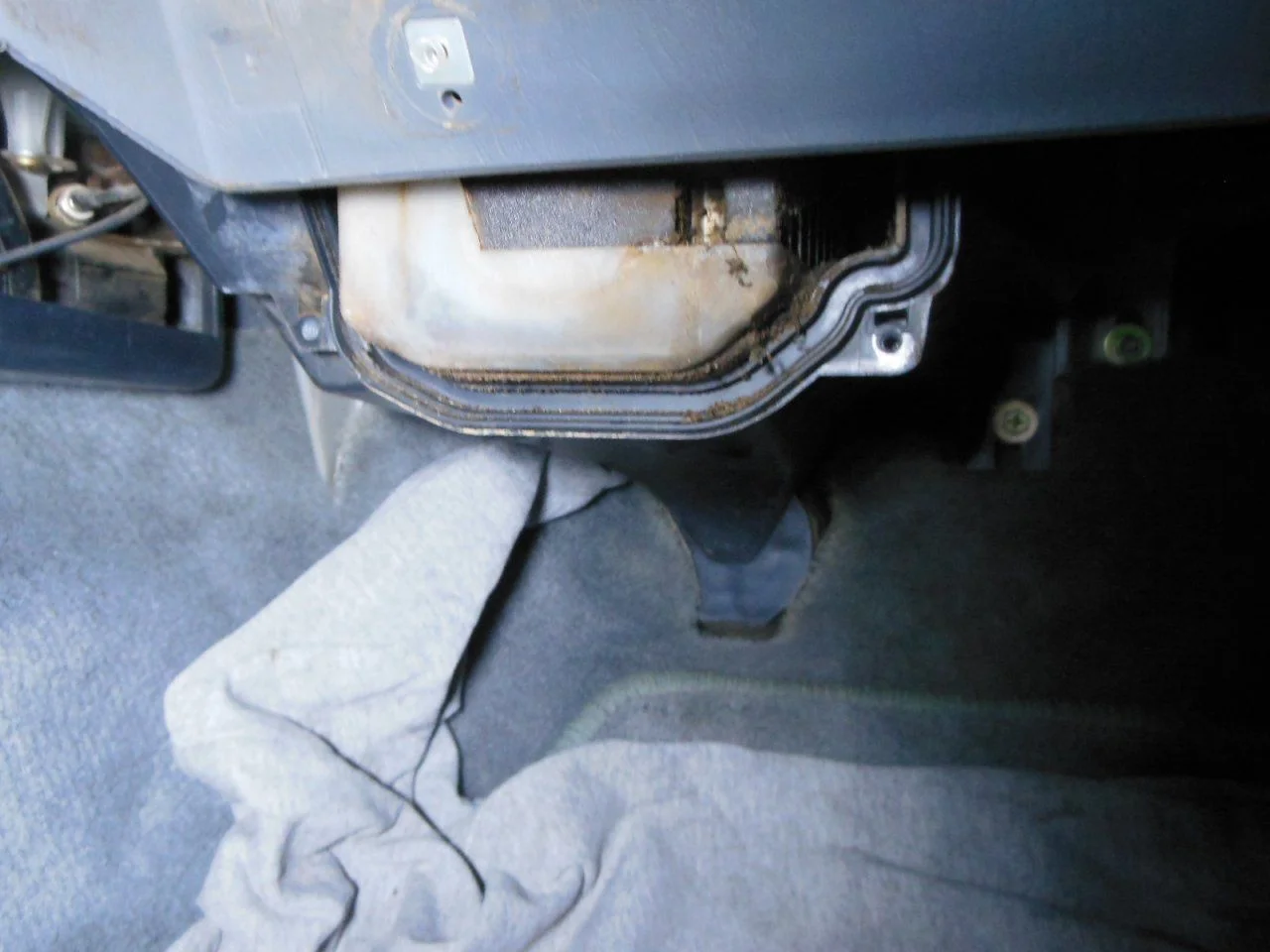 DSCN3377.webp