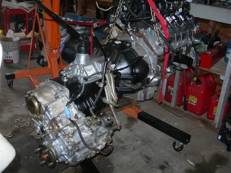 DSCN3559 (Medium).webp