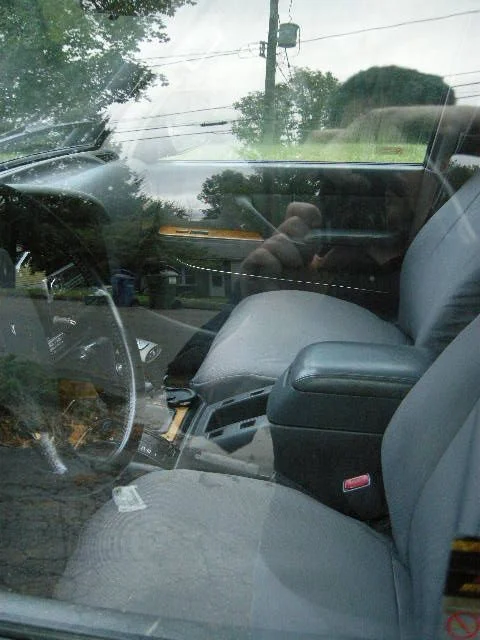 DSCN3559.webp