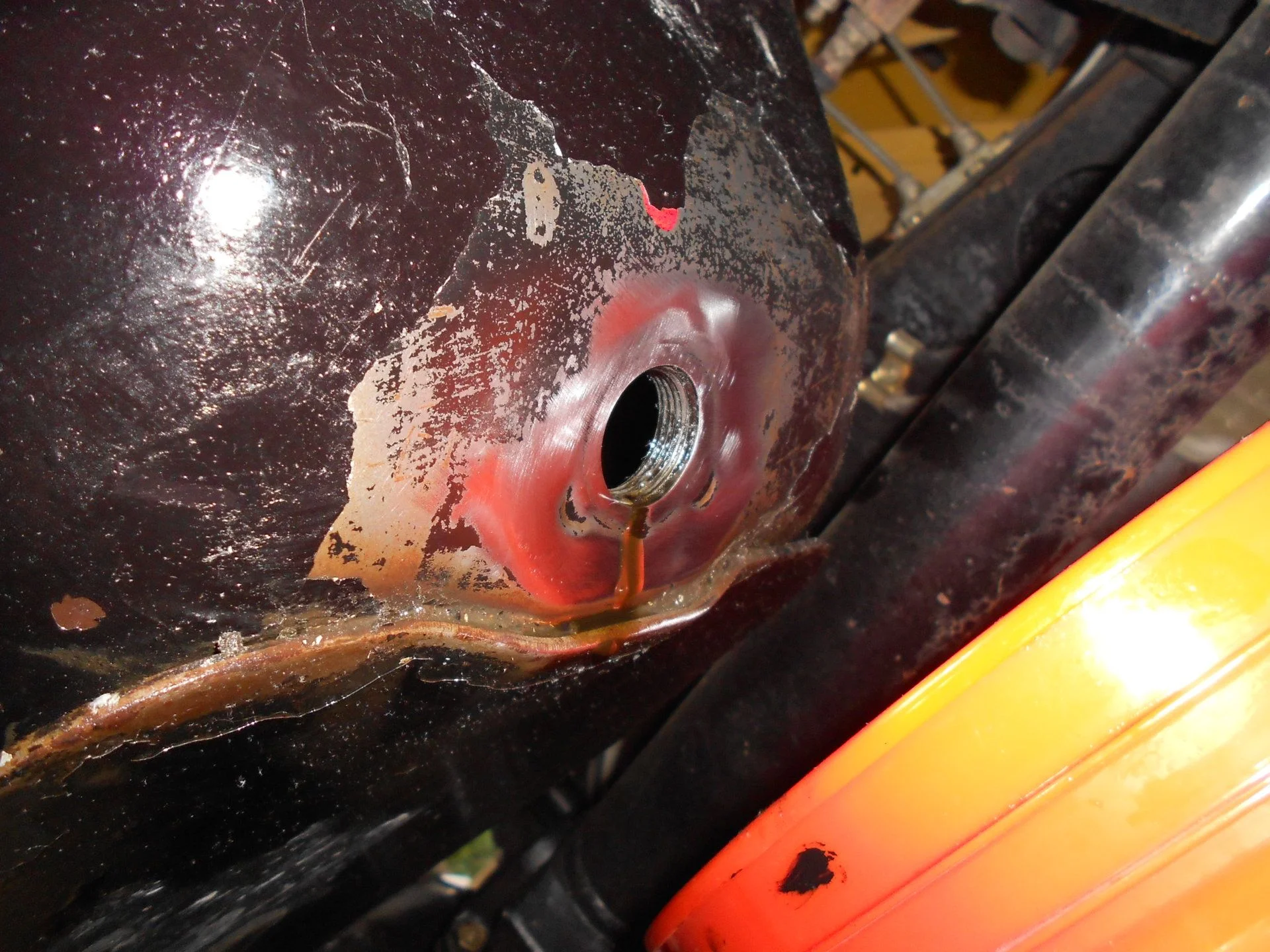 DSCN3563.webp