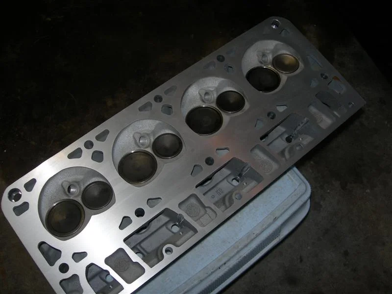 DSCN3635 (Medium).webp