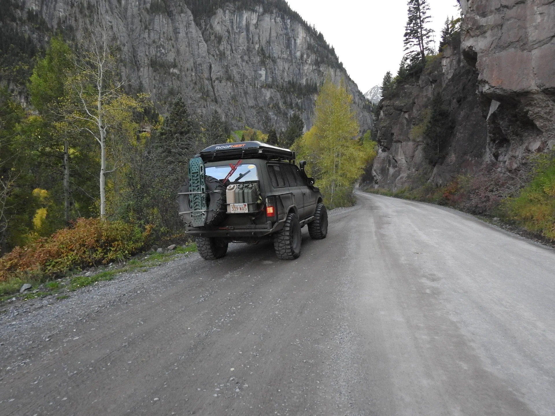 DSCN3636.webp