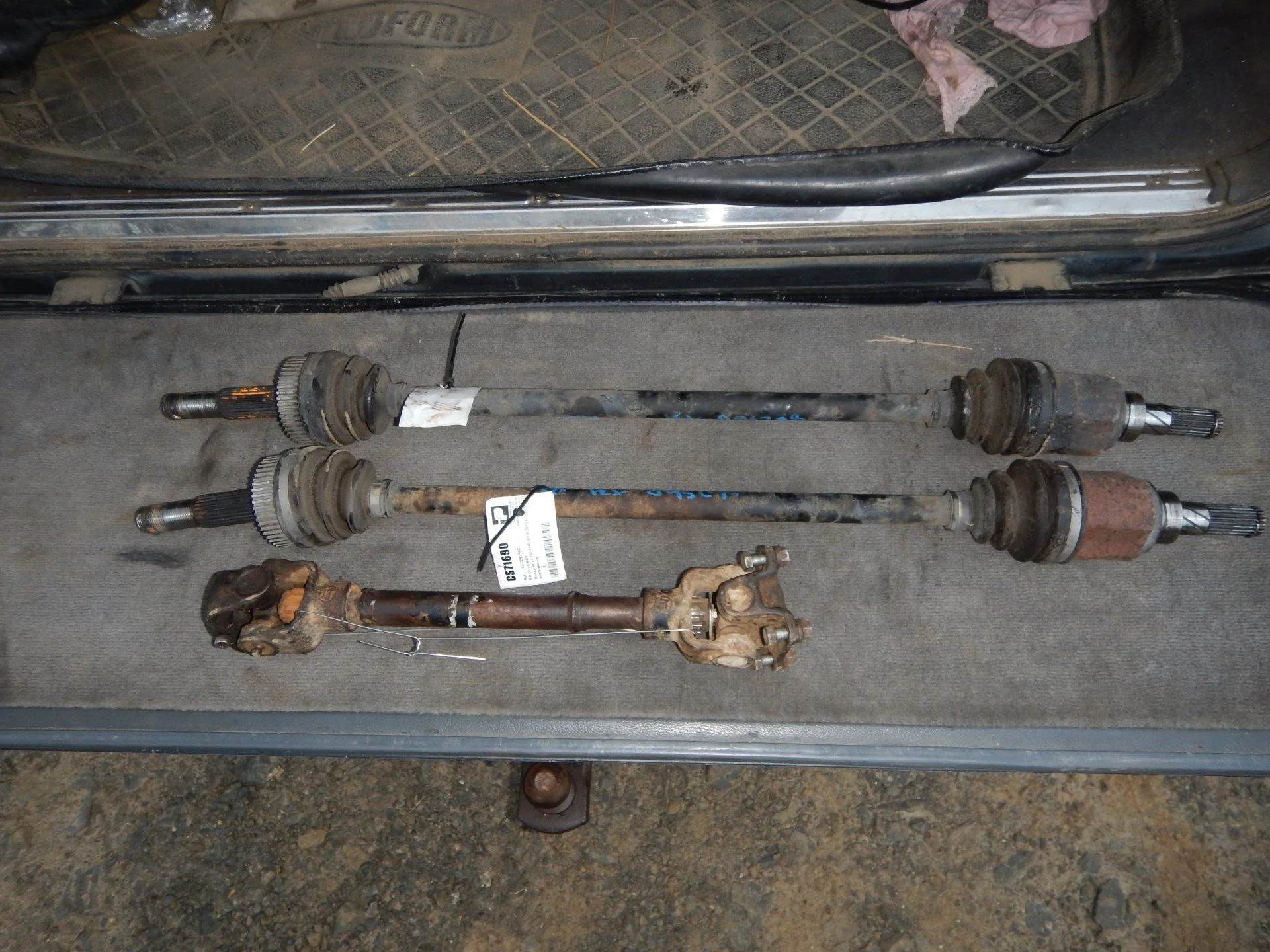 DSCN3748.webp