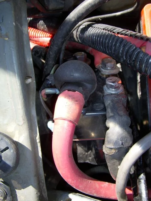 DSCN3787.webp