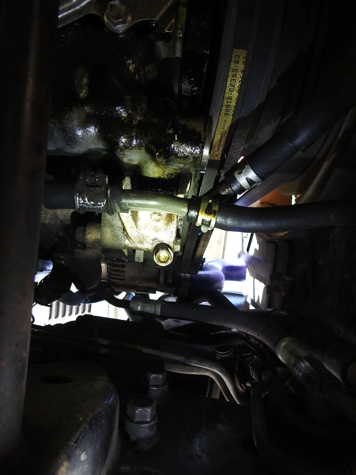 DSCN3807.webp
