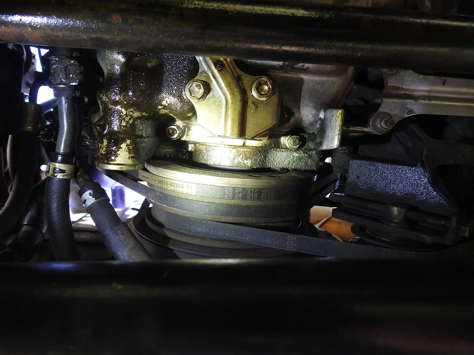 DSCN3808.webp