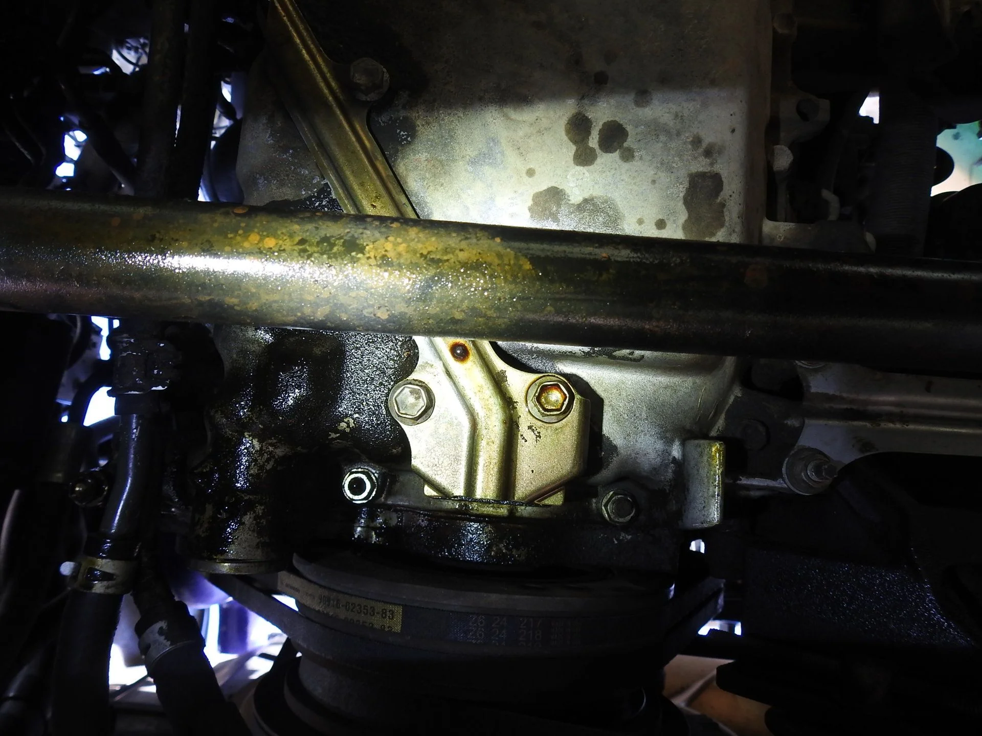 DSCN3810.webp