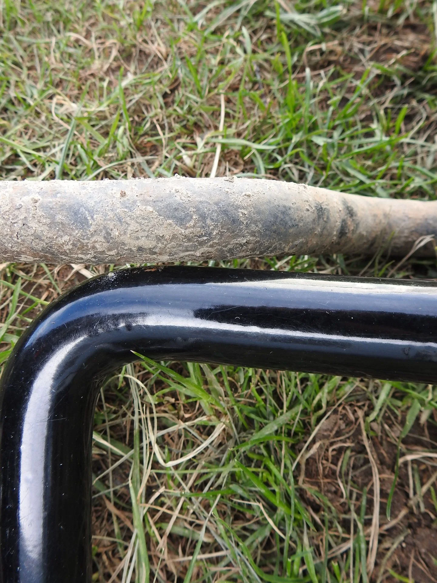 DSCN3821.webp