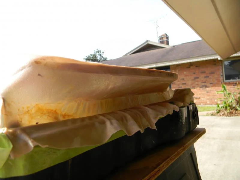 DSCN3858.webp