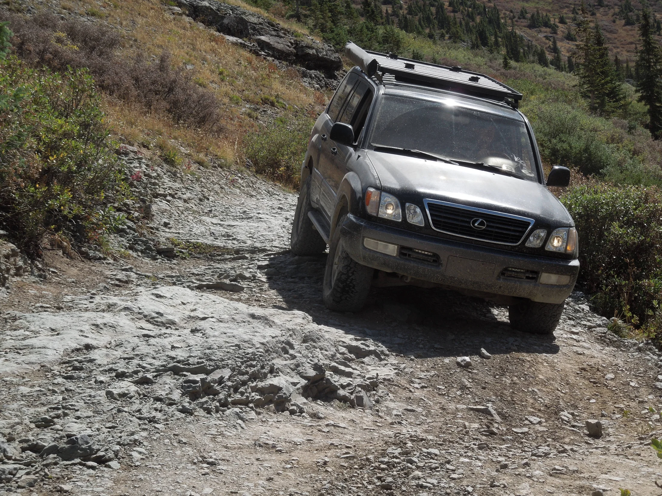 DSCN3909.webp