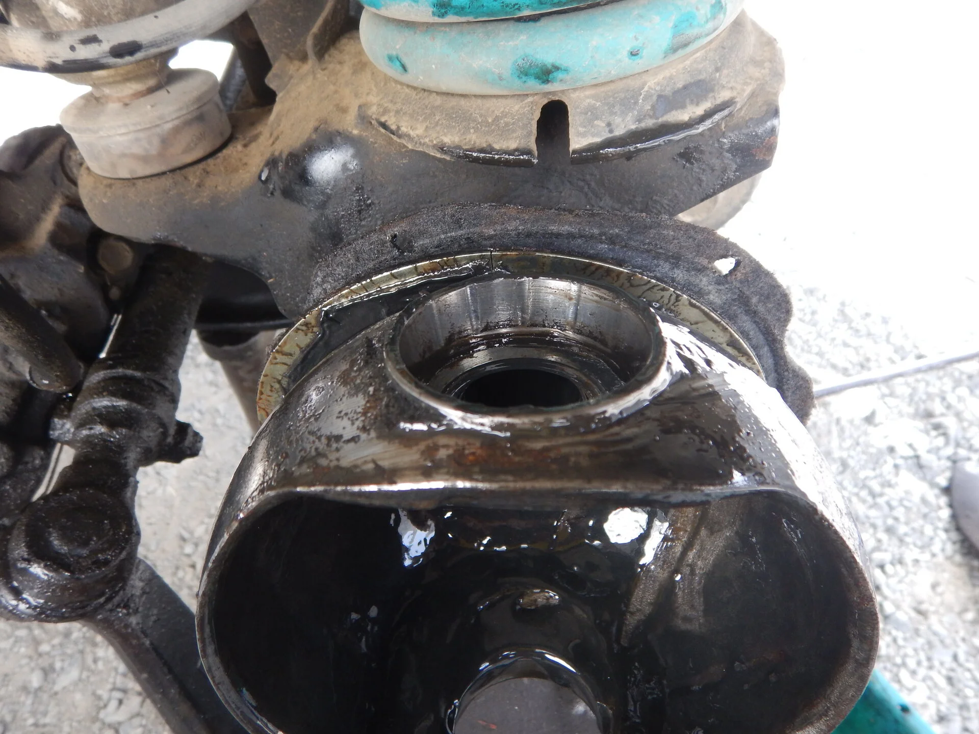 DSCN3935.webp