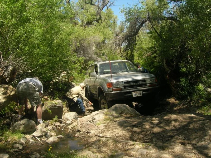 DSCN3940.webp