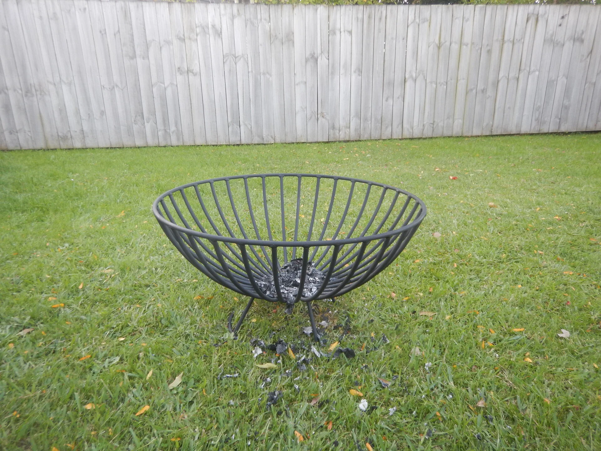 DSCN3949.webp