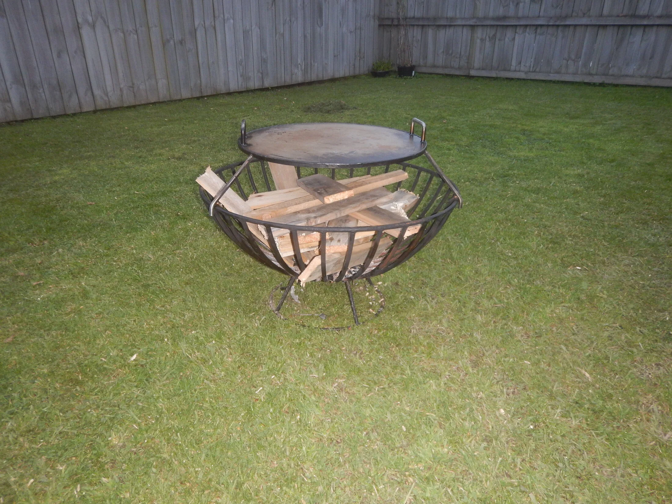 DSCN3951.webp