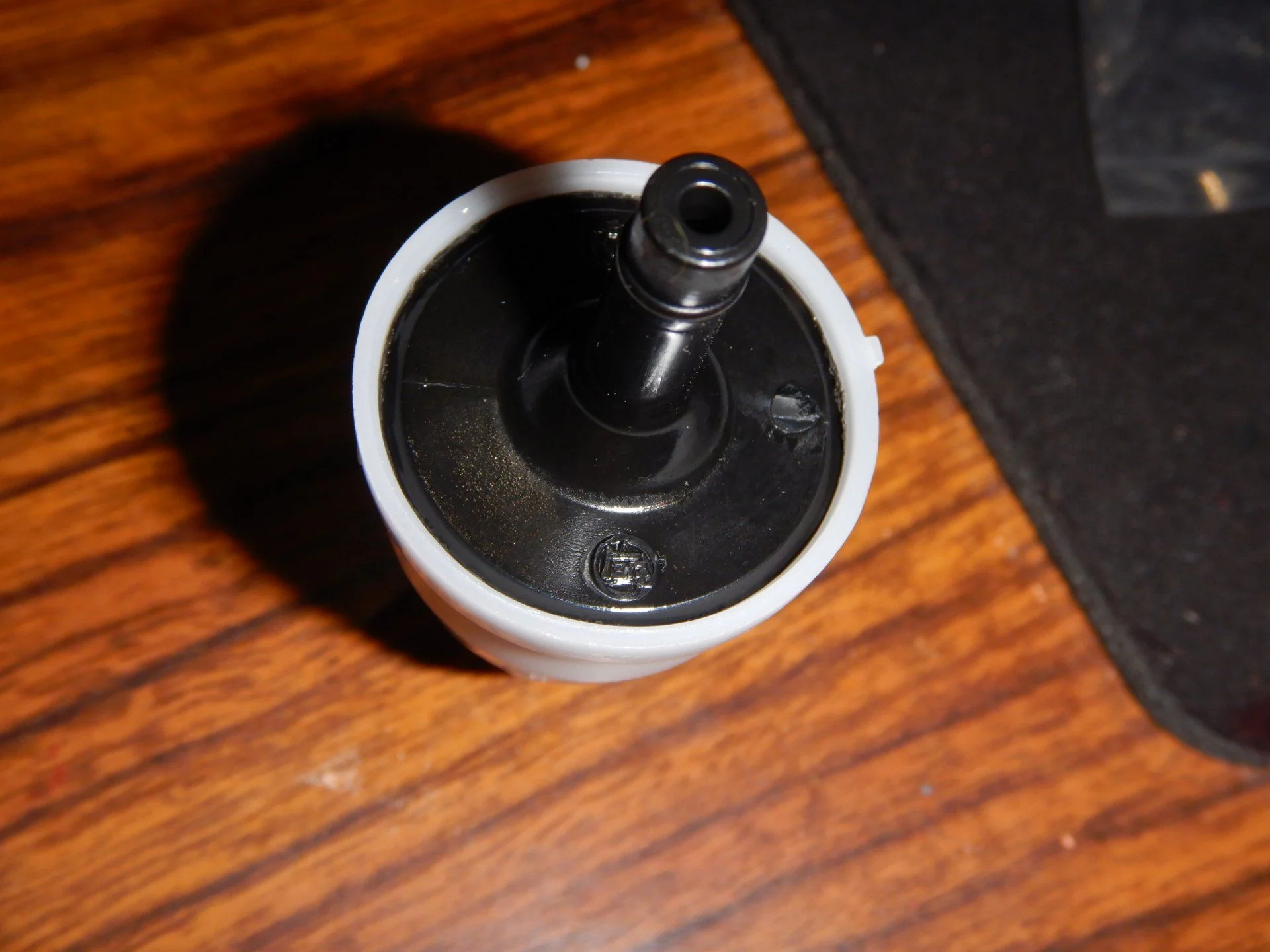 DSCN3986.webp