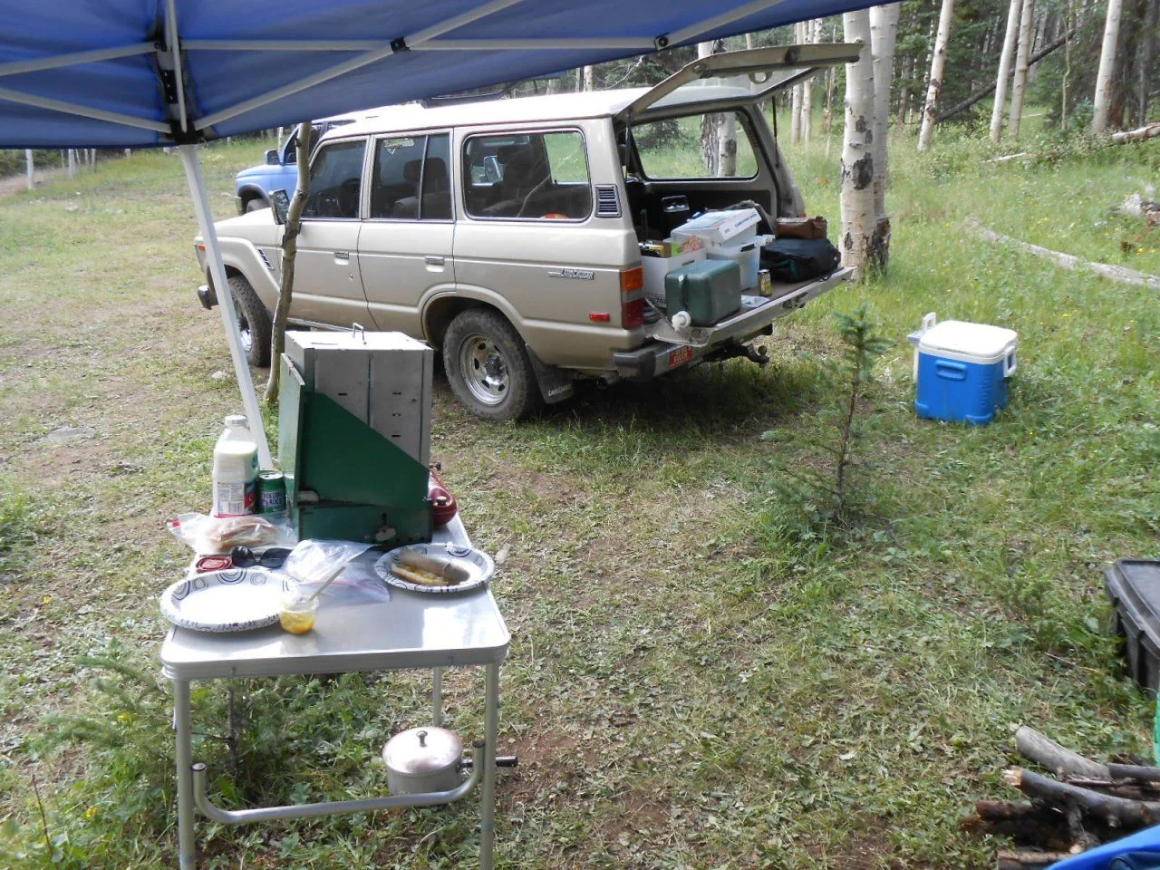 DSCN4008.webp
