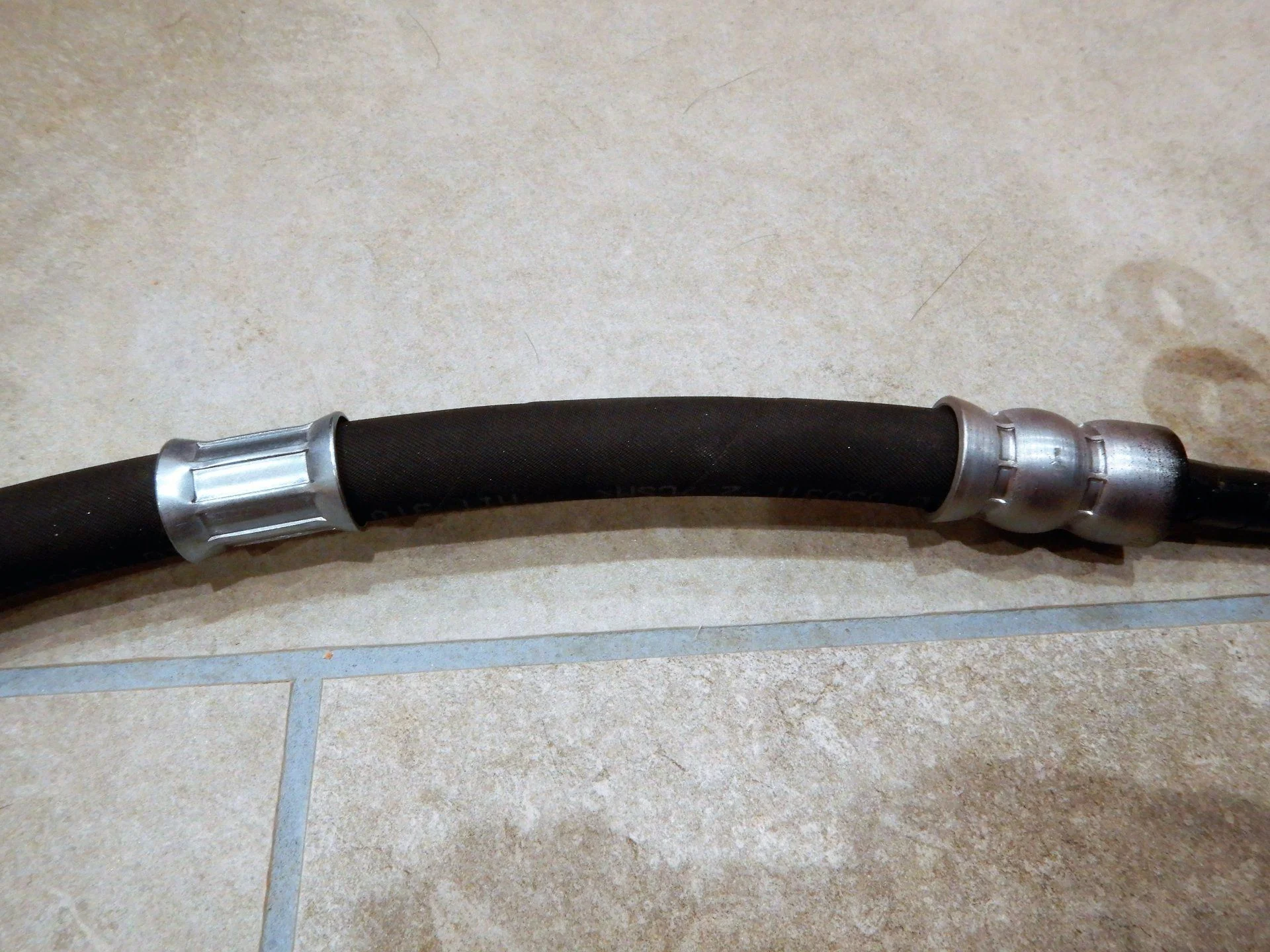 DSCN4206.webp