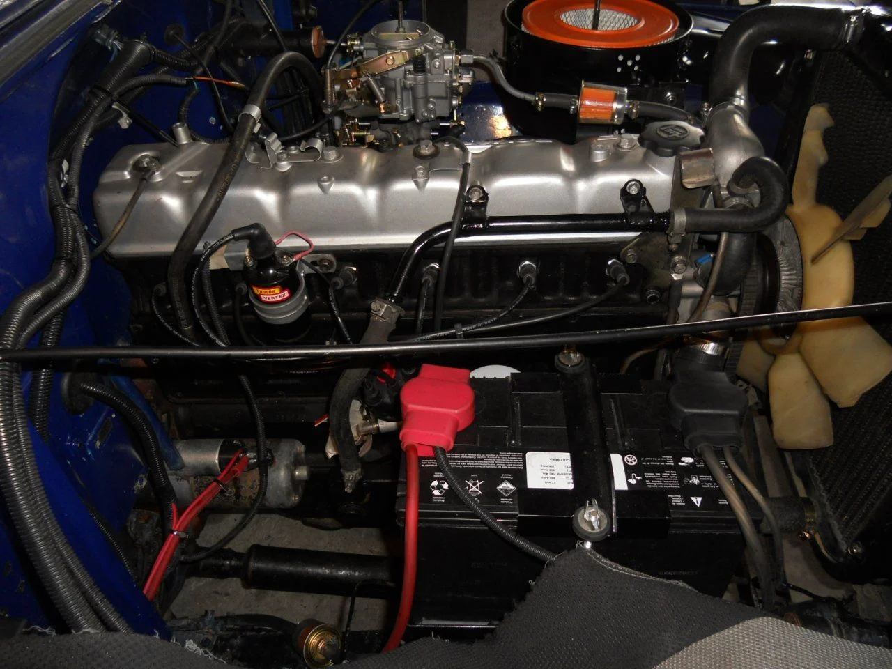 DSCN4218.webp