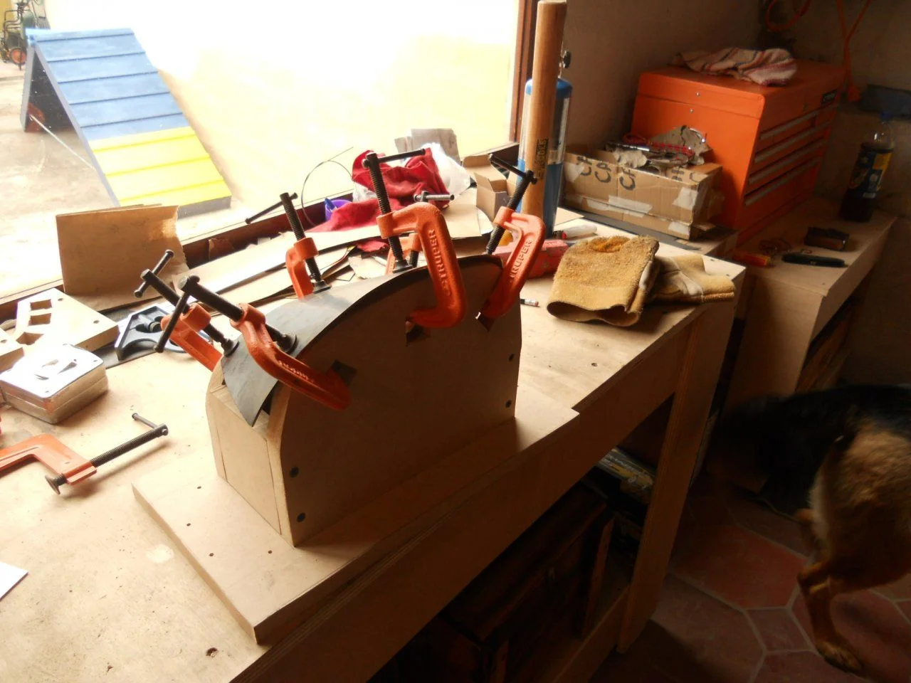 DSCN4303.webp