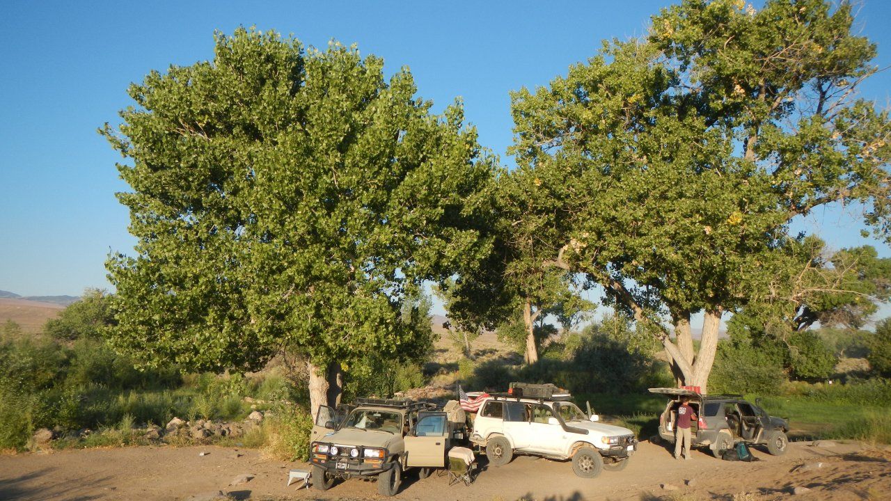 DSCN4473.jpg