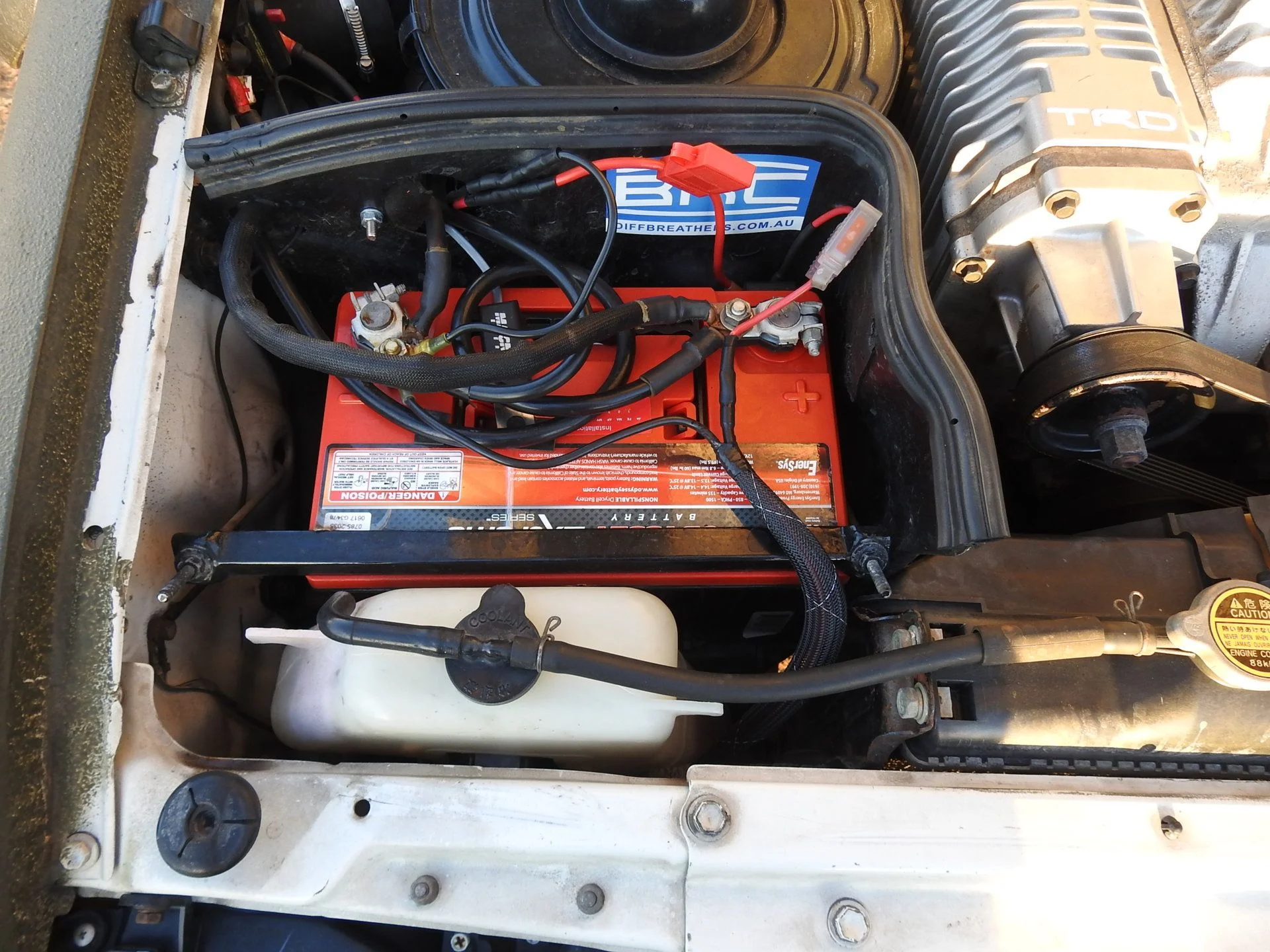 DSCN4484.webp