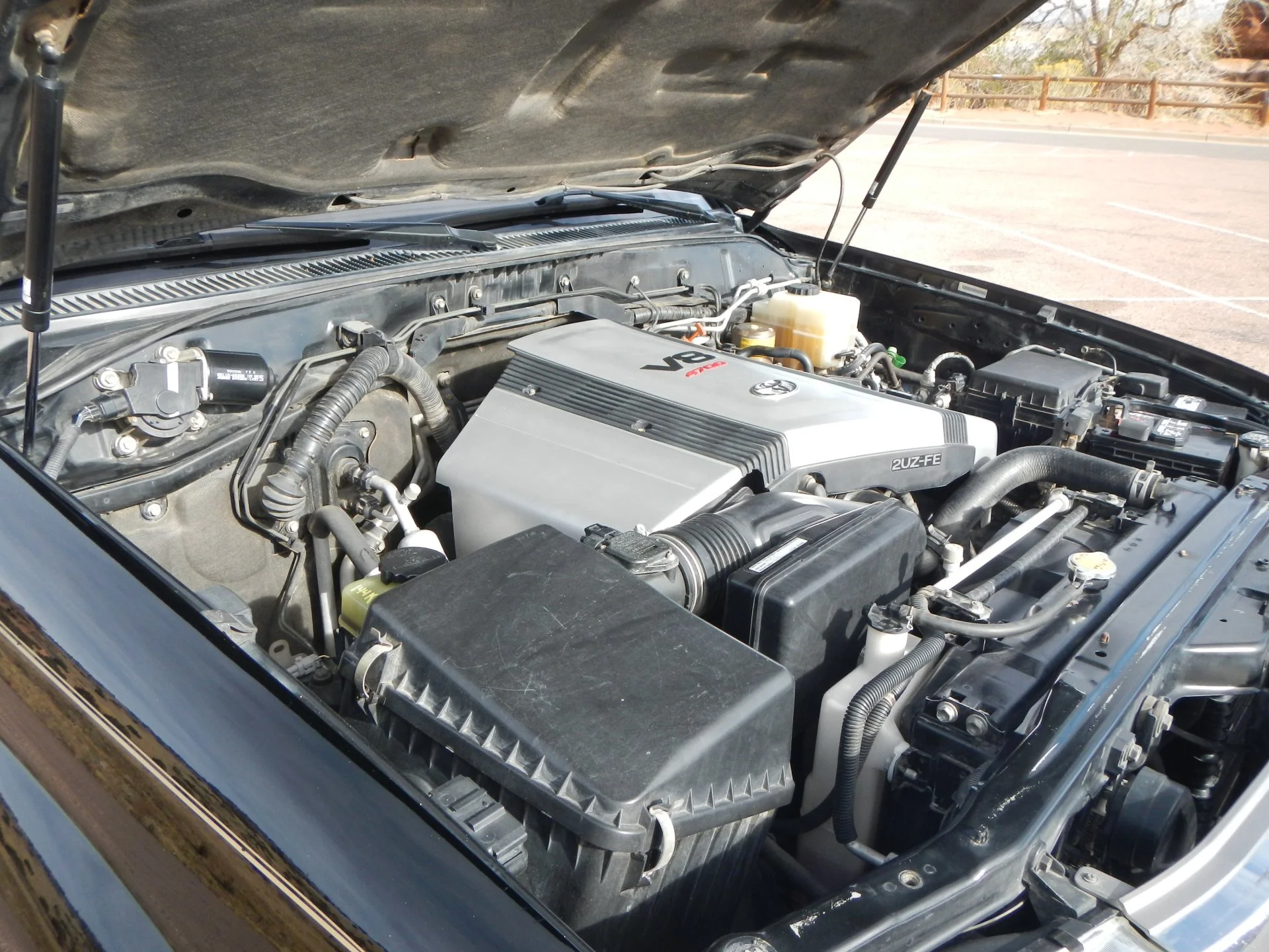 DSCN4493.webp