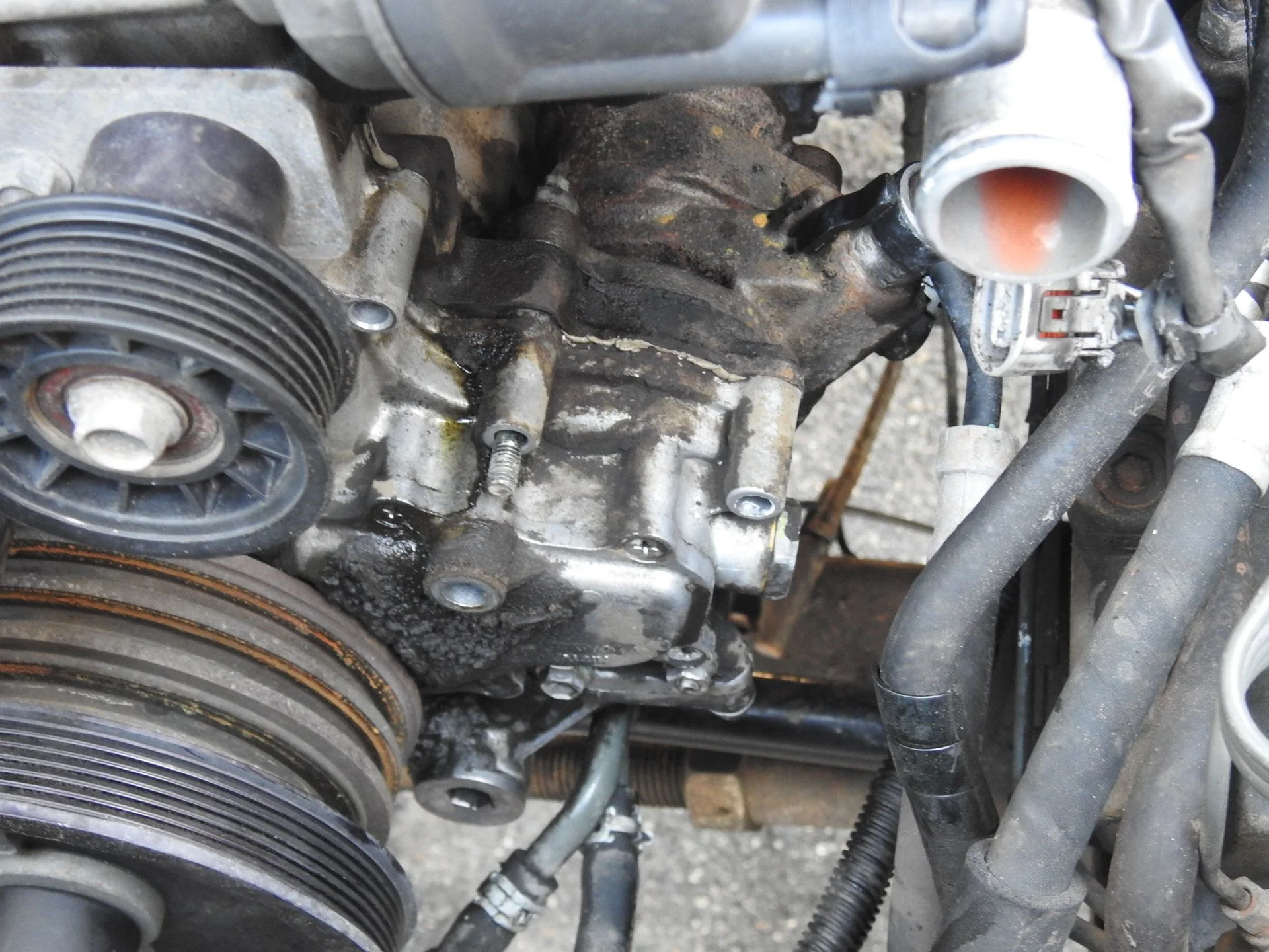 DSCN4538.webp
