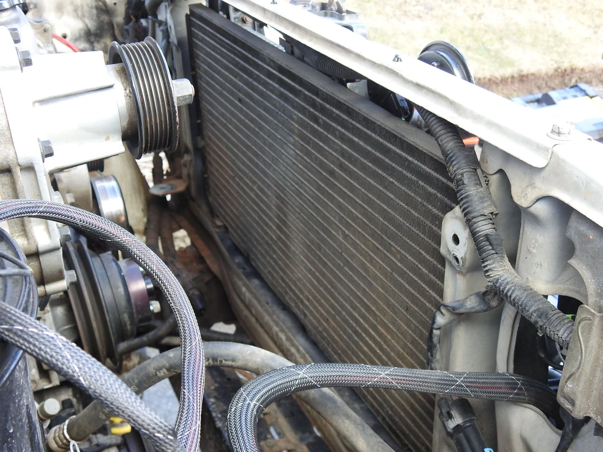 DSCN4543.webp