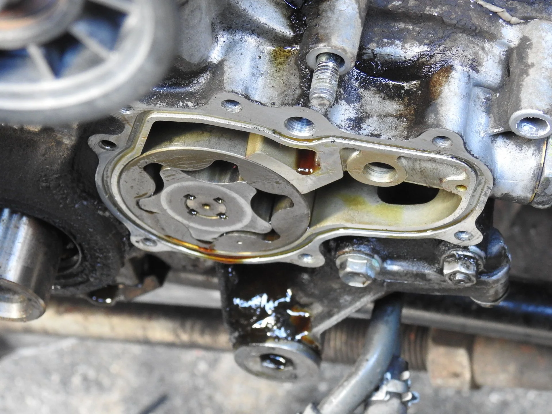 DSCN4545.webp