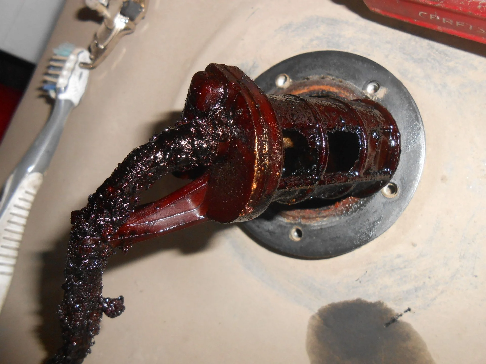 DSCN4572.webp