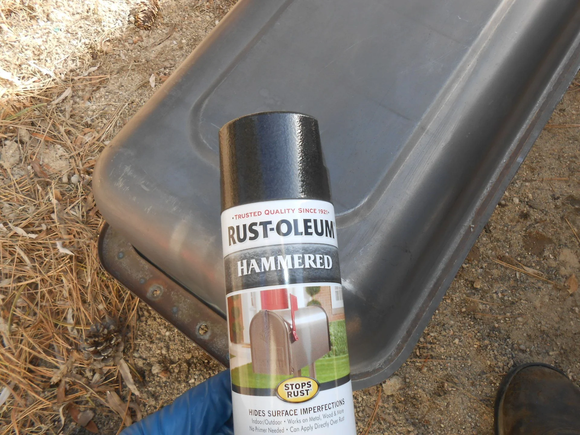 DSCN4590.webp