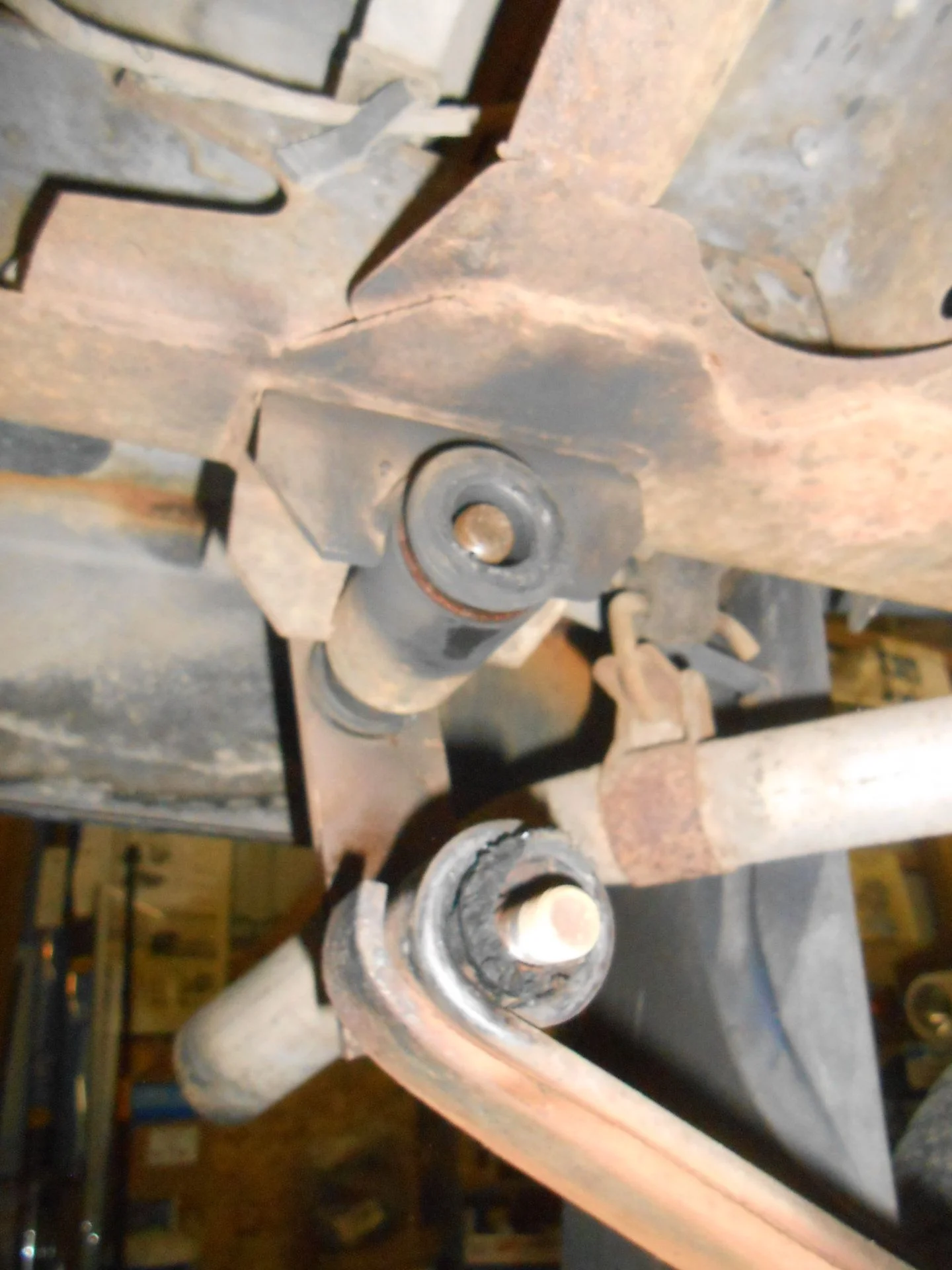 DSCN4681.webp